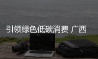 引领绿色低碳消费 广西超1.4万电力用户可查询“数字碳账单”