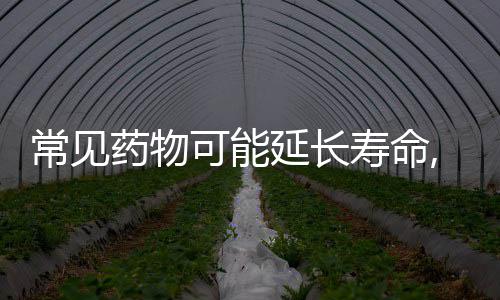 郑州地铁1号线二期开通在即 公交咋接驳等您建议 联合使用两者未带来额外好处