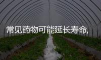 常见药物可能延长寿命,米非司酮在抗衰老治疗中的前景与挑战
