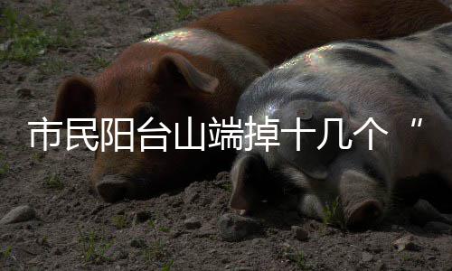 市民阳台山端掉十几个“绝户网” 在距离岸边十几米处