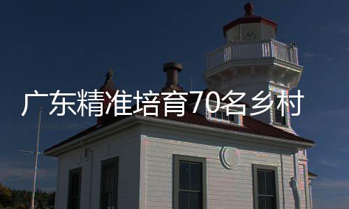 《明末：渊虚之羽》IP已被出售 505母公司花3200万元购买 精准从安全演练到小班教学