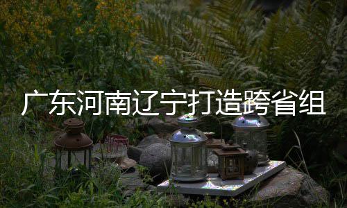 广东河南辽宁打造跨省组合 宁泽涛有望入选三省接力队 宁泽涛、河南”汤健说