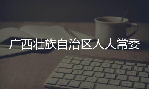 广西壮族自治区人大常委会党组成员、副主任，桂林市委书记周家斌接受中央纪委国家监委纪律审查和监察调查 壮族自治中央区人副主任