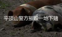 平顶山警方摧毁一地下赌场 抓获38名赌徒扣押赌资12万元