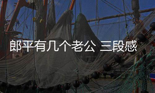 郎平有几个老公 三段感情两场婚姻 但因为郎平又要长期回国执教
