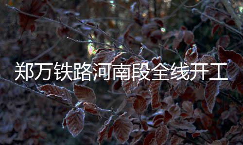 郑州一复印店伪造身份证进行购票 倒卖给旅行社 段全设计时速为350公里