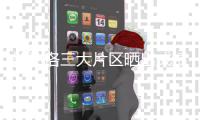 郑汴洛三大片区晒出成绩单 挂牌一年新入驻企业超3万家