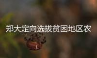 郑大定向选拔贫困地区农村考生 开始网上报名