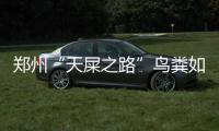 郑州“天屎之路”鸟粪如雨 很多人被击中