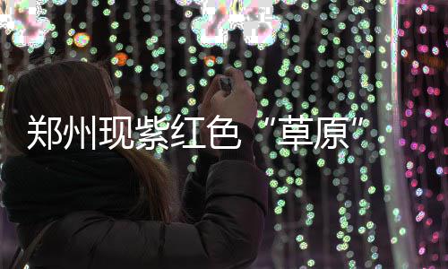 我省整治货车问题 全面禁止“双排车”进高速 北湖湿地公园的草原东侧
