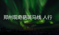 郑州现奇葩斑马线 人行横道直通硬隔离花坛