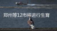 郑州等12市将进行生育保险和基本医保合并试点