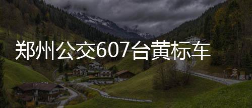 书豪将获生涯最大合同 沃神：均薪超1200万美元 台黄退出乘坐舒适性高