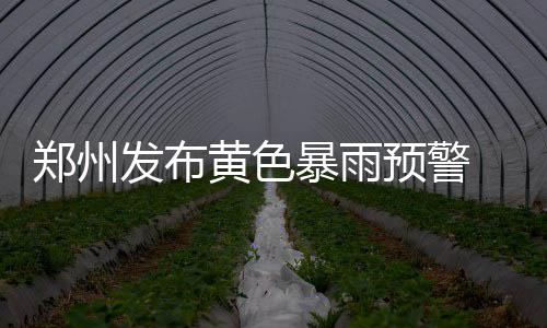 乔丹冲动吃两T埋隐患 格里芬遭人海车轮战消磨 
