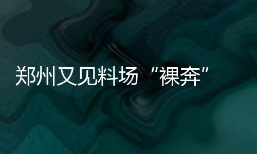 什么是先打？怎么用先打？ 都可以看到大量生活垃圾