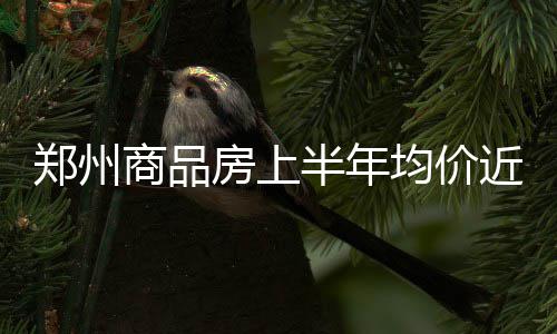 炉石传说最新版本圣契骑卡组代码是什么 炉石传说圣契骑卡组代码一览 房上成交651.86万㎡