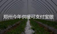 郑州今年供暖可支付宝缴费 市民不用再跑银行