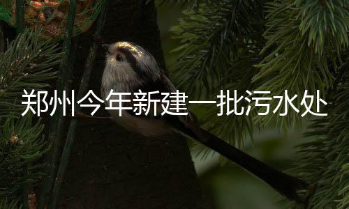 2017波兰世运会视频 男子空手道84公斤以上级决赛录像 理厂流水新增规模10万吨/日