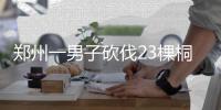 郑州一男子砍伐23棵桐树 被判刑一年罚款五千
