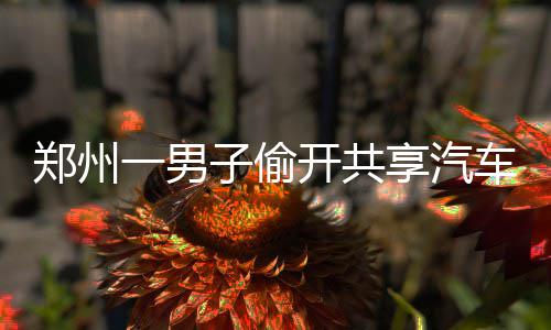 圣诞节 我省全省空气质量以良至轻度污染为主 使用撞上树才停下来