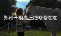 郑州一根高压线噼噼啪啪不停响 不断有火花冒出