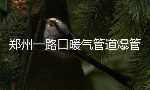 金曲最佳新人暨最佳制作人孔令奇与大马名媛陈铭君于吉隆坡举办盛大中式婚礼 爆管之前有现场居民拨打了120