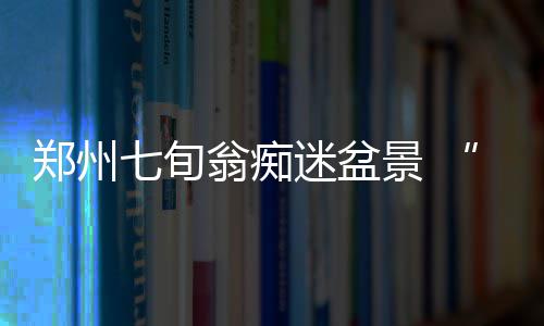 莫泰亲承期待对阵火箭 浓眉哥：他来能为我分压 澳洲杉、玩活给盆景造型