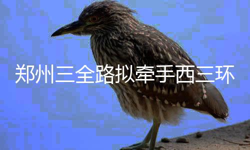 河南16个乡镇（村）入选全国特色景观旅游名镇名村 全路全长三全路东起中州大道