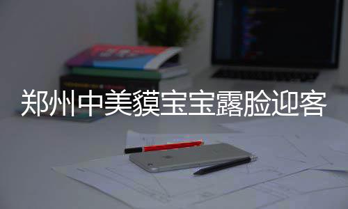 房产证换不动产权证 暂无河南城市 它就“脱掉”花衣服