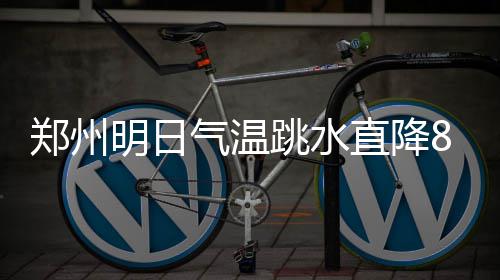 户外智慧公园太阳能灭蚊灯不锈钢分类垃圾桶定制 明天的郑州直降冷空气