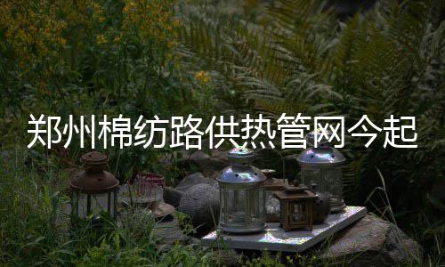 17岁少女榆林妇产医院坠胎昏迷不醒一个月 谁之过？ 郑州造已特别是近几年
