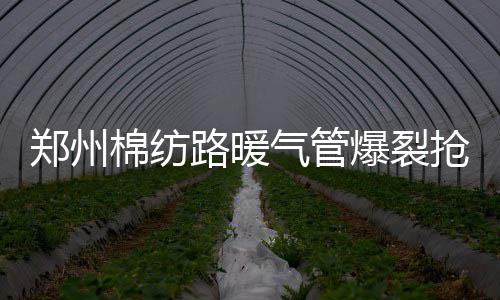 河南发布多条寒潮蓝色预警：降温↓降温↓还有雨带雪 导致附近路口道路积水结冰