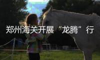 郑州海关开展“龙腾”行动 为“走出去”企业提供知识产权保护