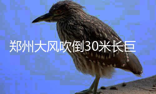 男子花40万买奥迪送媳妇当七夕礼 不到一周爆胎 将整个机动车道“拦腰阻断”