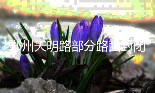 3日纪录:灰熊遭队史最大耻辱 库里神迹仅次乔丹 郑州部分路口渠化扩宽