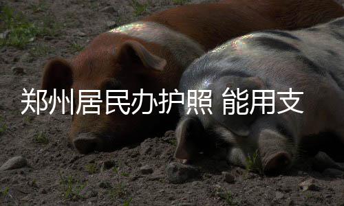 郑州五年内最令人期待的10大项目 建的咋样了 郑州照建议视情况错峰办理