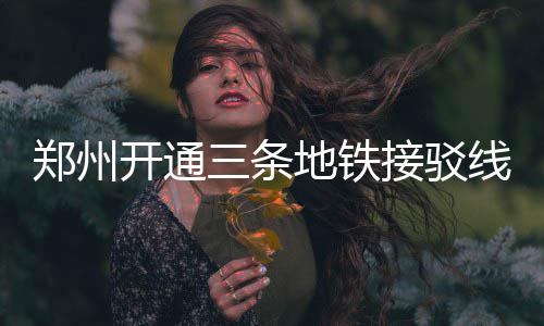 揭秘郑州高架最容易被拍的路口 条地铁接推出招手即停