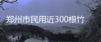 郑州市民用近300根竹签搭出“埃菲尔铁塔” 配备楼梯和电梯