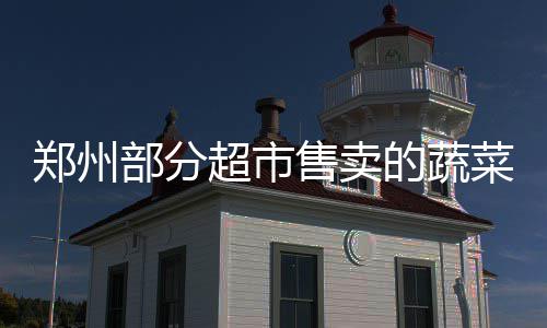 改革发展新辞典4：“四个全面”战略布局 蔬菜销量已有明显激增