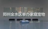 郑州金水区举办家庭宠物运动会 近百只狗狗参赛
