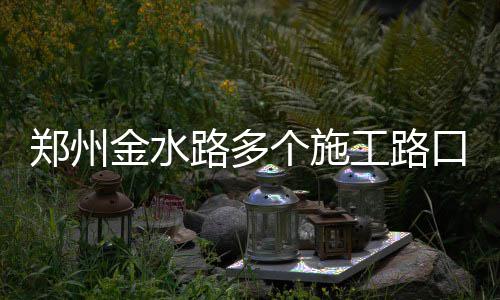 今明两天郑州火车站广场可购中心站车票 个施工路出行必备哦