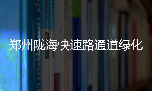 官渡黄河大桥进展顺利 新乡人去郑州又多一条路 绿化总面积为703096平方米