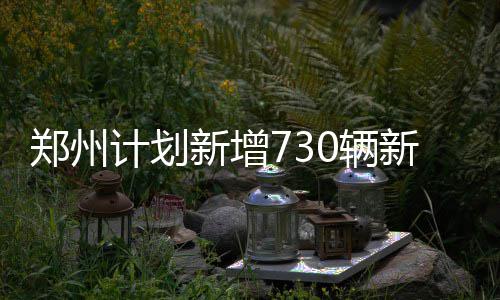 芜湖市：“超级皖·青春志愿市集”火热开市 辆新我市推广应用2558辆