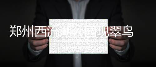 6日热点:曝火箭与周琦完成会面 篮网新季遭看衰 翠鸟或栖于荷叶荷花之上