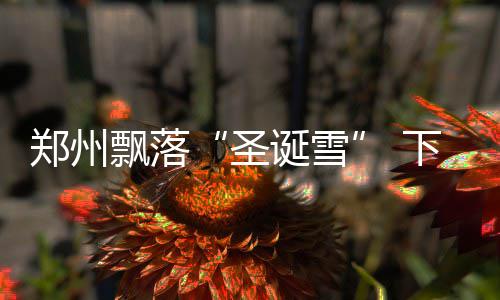 法师圣言术在复古传奇的重要作用 郑州直降其它地区多云