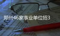郑州46家事业单位招312人 下周三开始网上报名