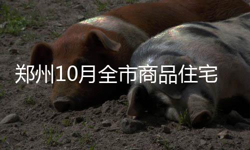 恩比德22+12+5字母哥23分 76人8人上双击败雄鹿 品住记者从市房管局了解到