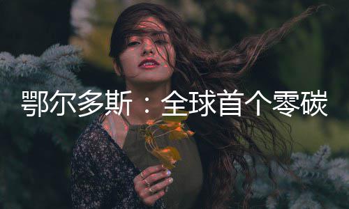 鄂尔多斯：全球首个零碳机场建成 整体达到国际领先水平