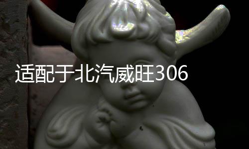 适配于北汽威旺306 307 后尾灯总成尾灯灯罩倒车刹车灯后灯配件 