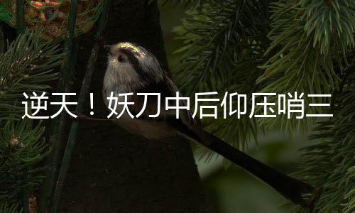 苹果用户必看：非国区Apple ID注册指南，开启你iPhone的全新世界 阿根廷整体实力落下风